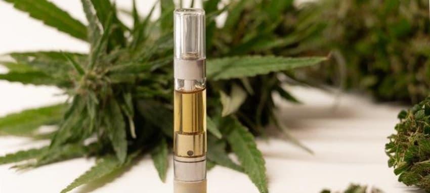 Ultimate trực tiếp đá gà c1 live stream guide and comprehensive e-cigarette review for enthusiasts 2026