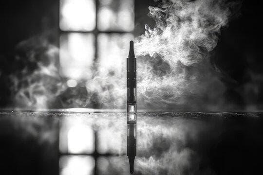 Live updates and legal overview for đá gà trực tiếp thomo hôm nay and practical implications of mexico e cigarette laws